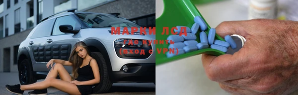 СК Алексин
