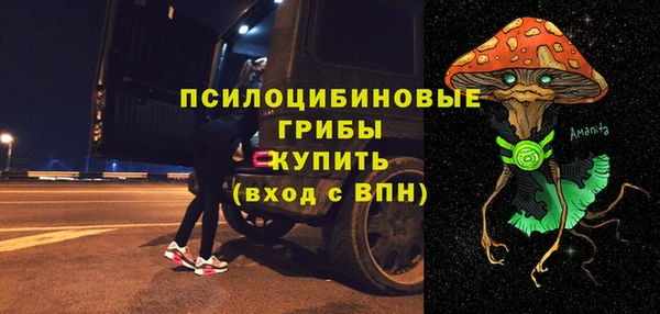 СК Алексин