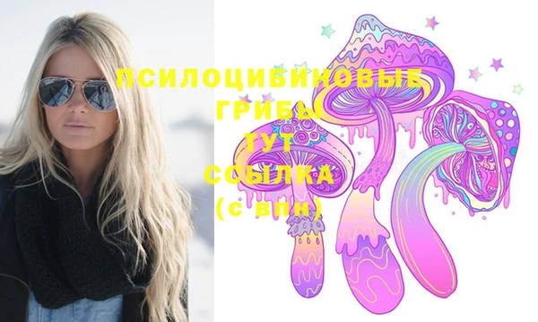 СК Алексин