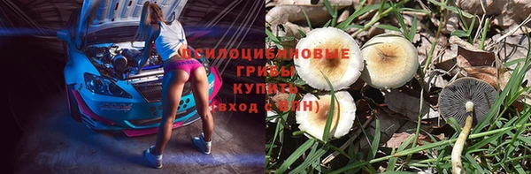 СК Алексин