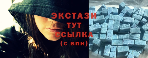 СК Алексин