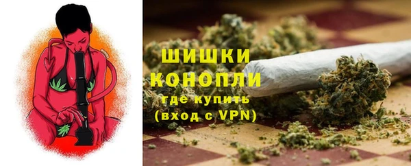 спайс Алзамай