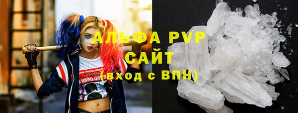 СК Алексин