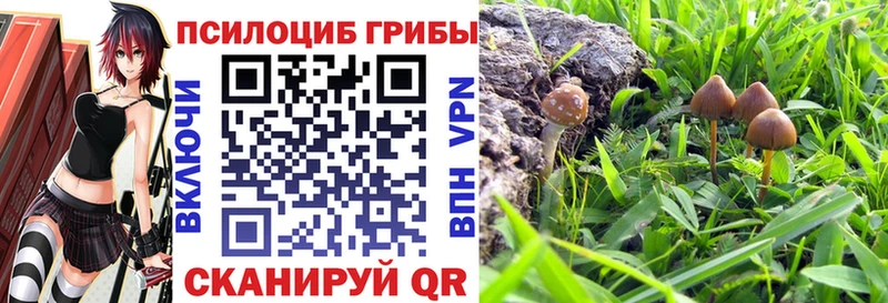 Псилоцибиновые грибы Cubensis  где продают наркотики  Жигулёвск 