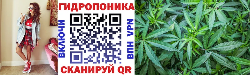 цена Жигулёвск Бошки марихуана планчик